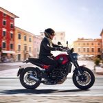 Benelli Leoncino 500