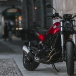 Benelli Leoncino 500