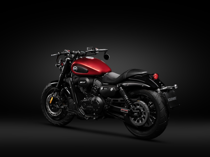 DUAL REAR SHOCKS