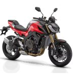 QJMotor SRK 800