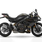 QJMotor SRK 800  RR