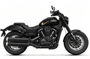 QJMotor SRV 600 V2 Black